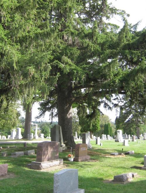 City Cemeteries | Platteville Wisconsin